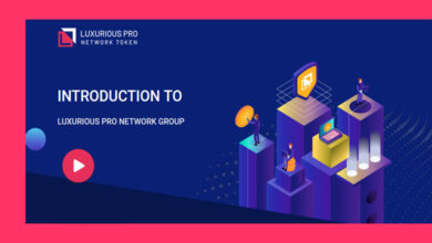 Introduction to LPN Token